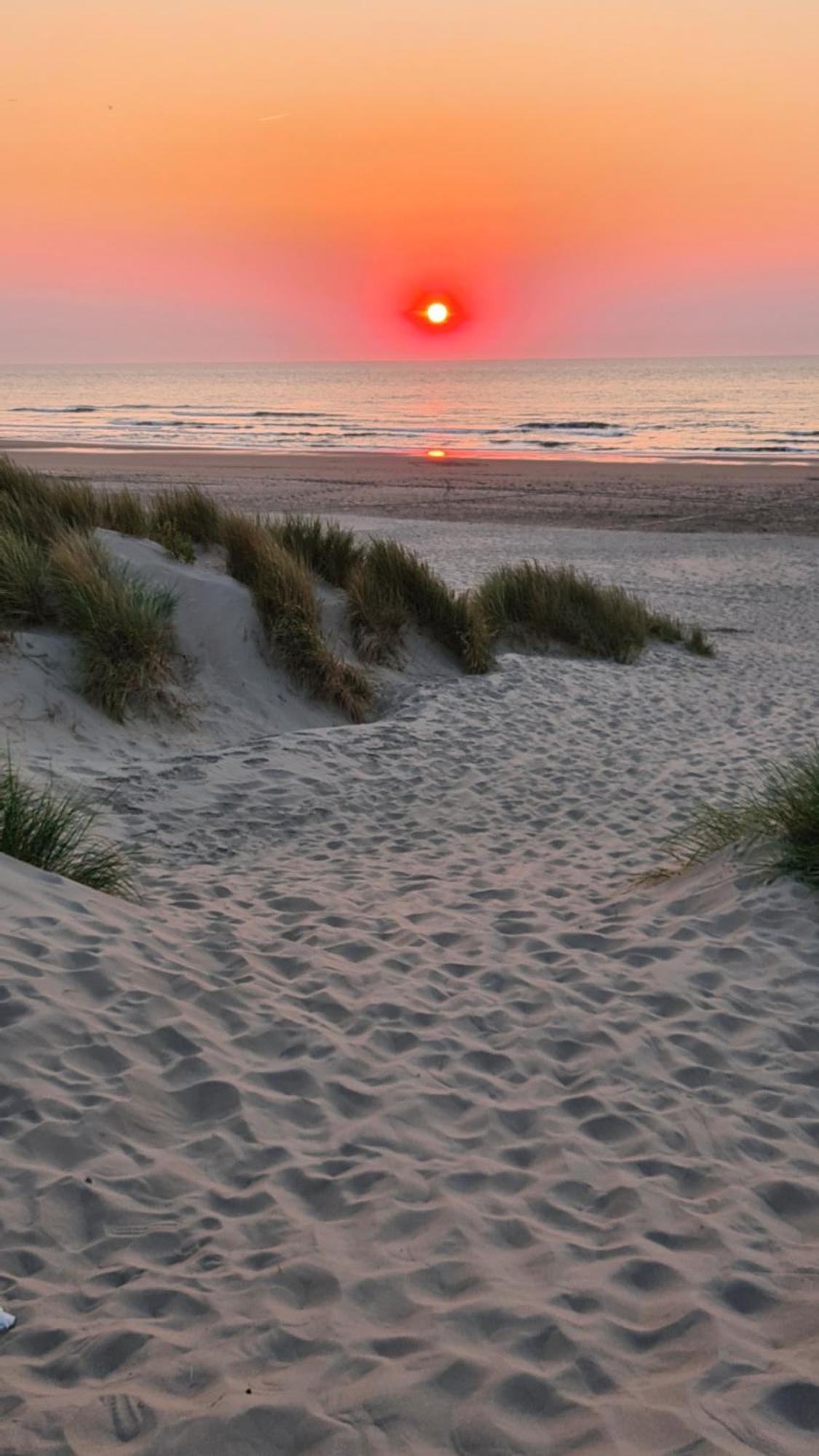 Chardonnay At The Beach Blankenberge Exterior foto